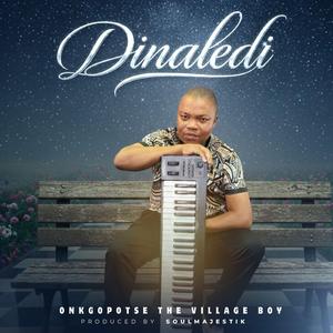 Dinaledi