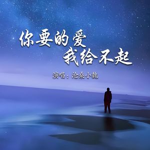 你要的爱我给不起