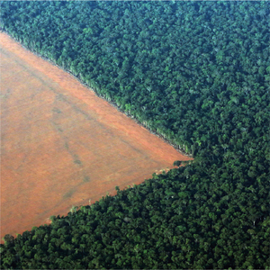Issa Nirranga Jien
