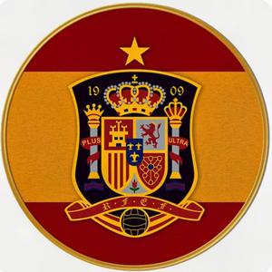 热爱西班牙国家队的你