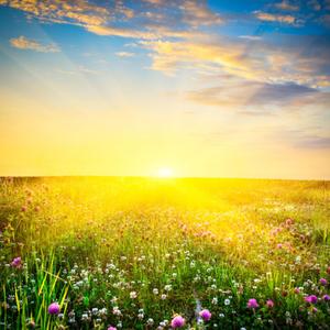 Пусть этот миг