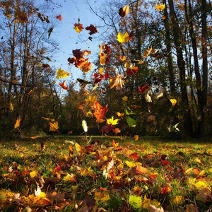 Листопадом