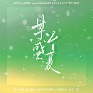 某个盛夏丨某某同人曲