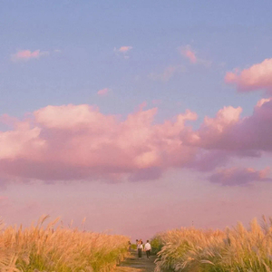 せいか（盛夏）