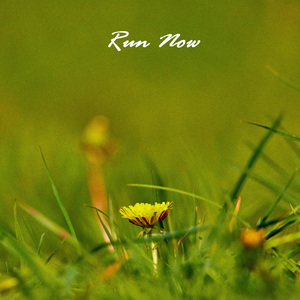 Run Now