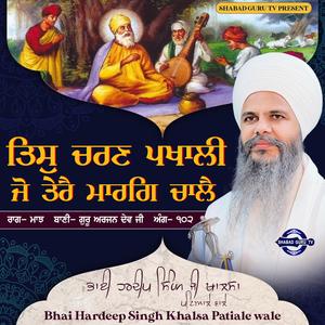 Tis Charan Pakhali Jo Terey Marag Chaley | Bhai Hardeep Singh ji Khalsa | Patiale Wale