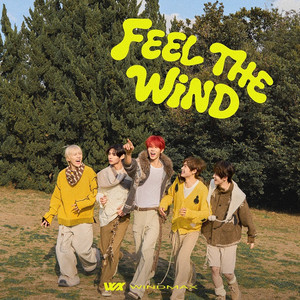 FEEL THE WIND