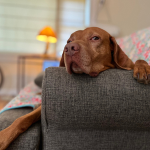 Call, and the response.