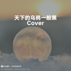 天下的乌鸦一般黑 (Cover 小炎同学)