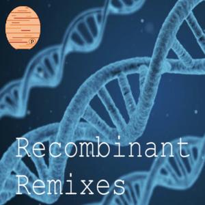 PhotoSynth (Solstice Mix) (Solstice Mix)