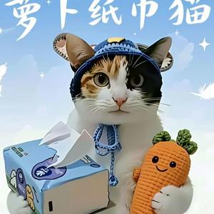 萝卜纸巾猫（蒸蚌版）