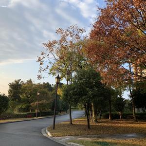 从今天开始热爱生活