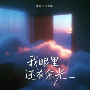 我眼里还有余光 (DJ小左版)0.9x版