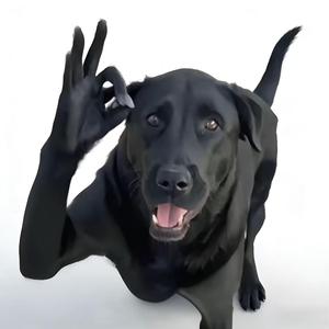 SLEEPIN CITY FUNK（SLOWED）