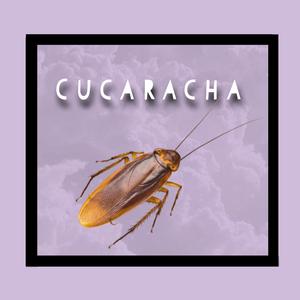 Cucaracha