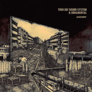 Assessment (feat. Ornamental)