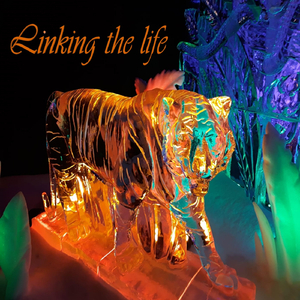 Linking the Life