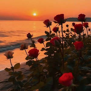 漠河舞厅_北极星小姐姐