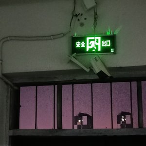 年轮