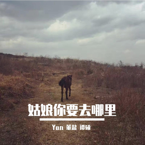 姑娘你要去哪里