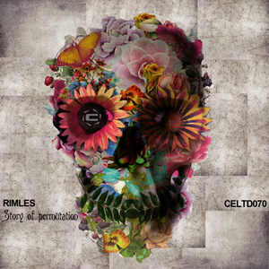 Permutation (Original Mix)