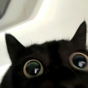 如果有机会再见