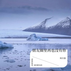 朋友圈里再也没有你