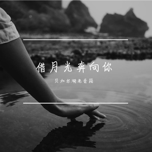 借月光奔向你