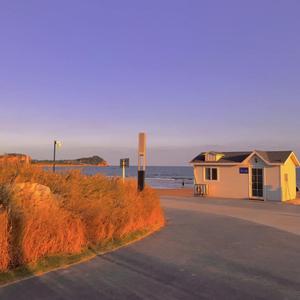 Orange soda试听版