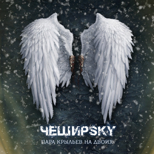 Пара крыльев на двоих