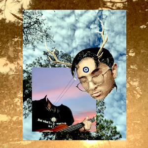 haven't seen you in a while