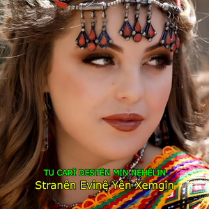 Tu carî Destên Min Nehêlin