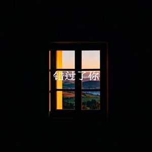 错过你了