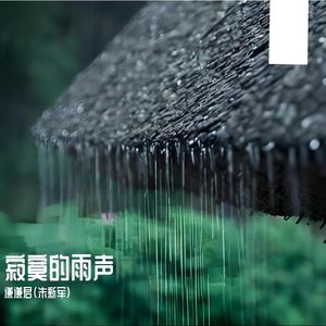 寂寞的雨声