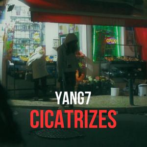 Cicatrizes