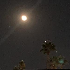 chozen (feat. XXPLICIT)