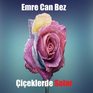 Çiçeklerde Solar