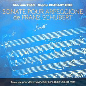Sonate Pour Arpeggione-Allegro moderato