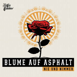 Blume auf Asphalt