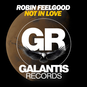 Not In Love (Original Mix)