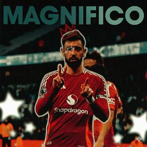 Bruno magnifico