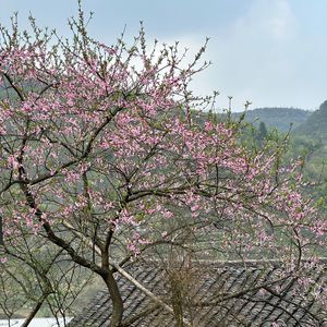 祝你爱我到天荒地老（改编版）