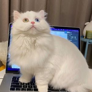 铅笔刀光 Type Beat