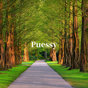 Puessy