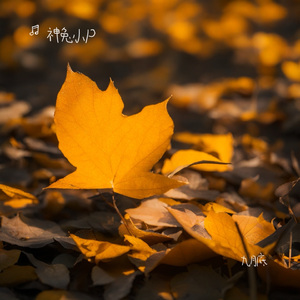 九月底（神兔小P Remix）