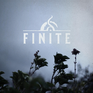 Finite