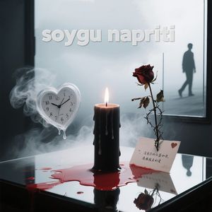 soYgu napRiti