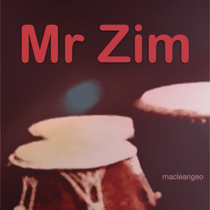 Mr Zim
