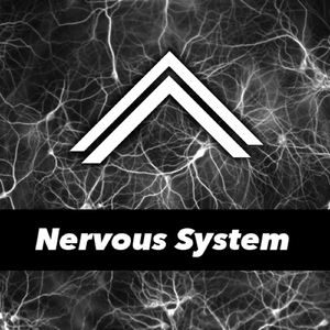 Nervous System