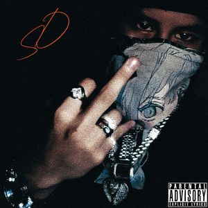 骨感文学(Prod.EVOMUSIC )